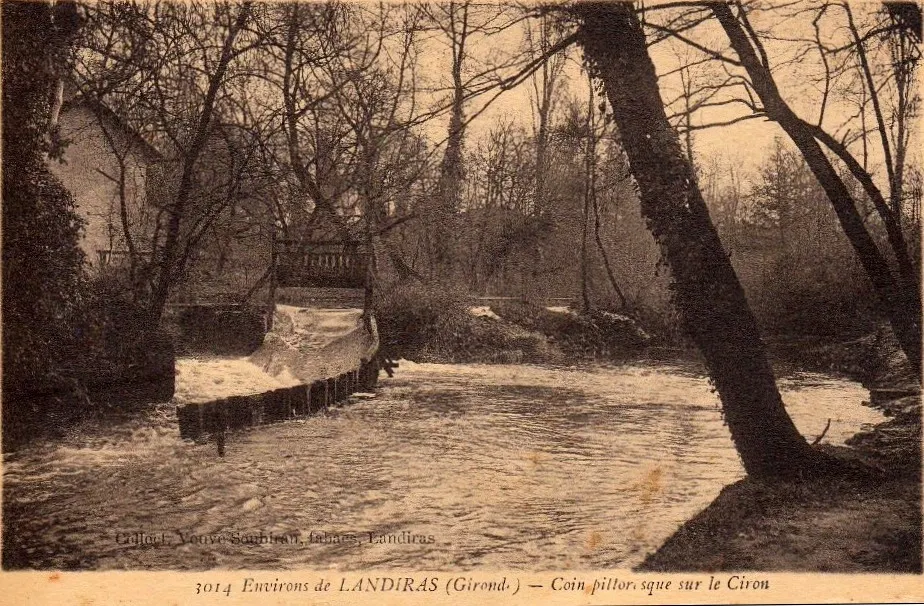 Ancienne carte postale du Ciron près de Landiras, l'eau entre les arbres
