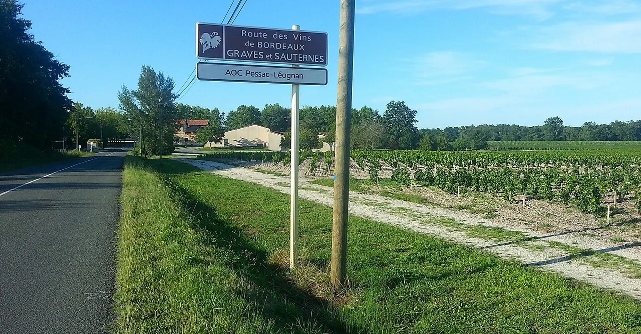 Les vignes au bord de la route, avec le panneau de la route des vins Graves et Sauternes